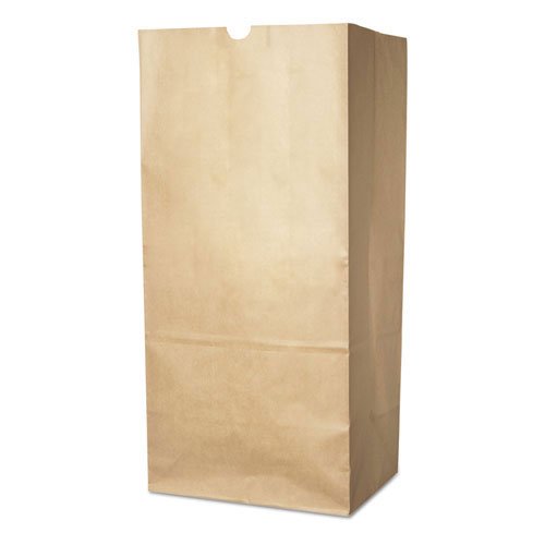 Paper Bag #2